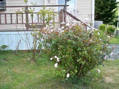 Photo 33
