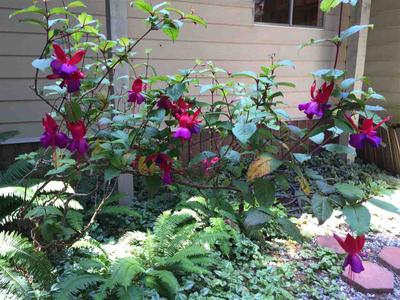 Photo 30