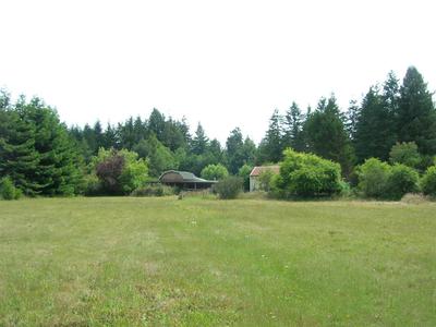Photo 32