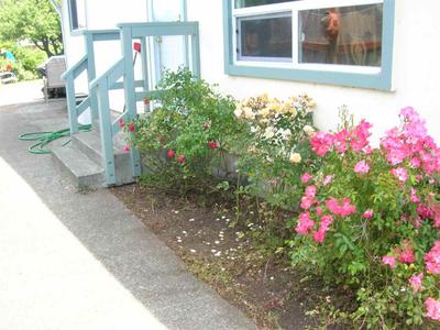 Photo 24