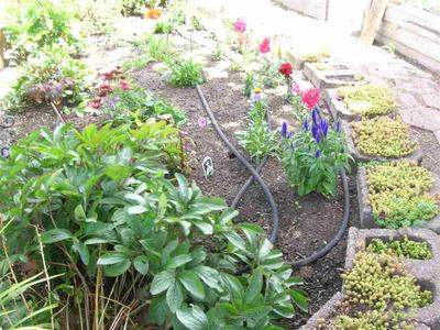 Photo 29