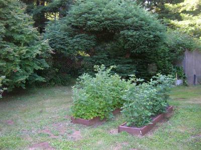 Photo 31