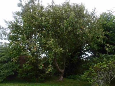 Photo 26