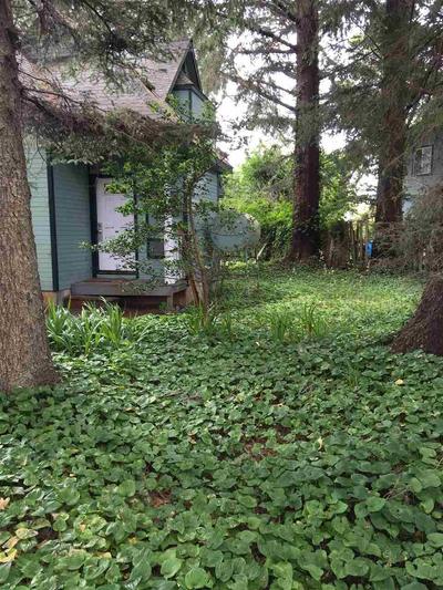 Photo 24