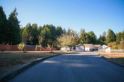 Photo 33