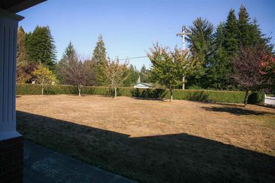 Photo 34