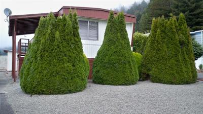 Photo 0