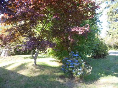 Photo 33