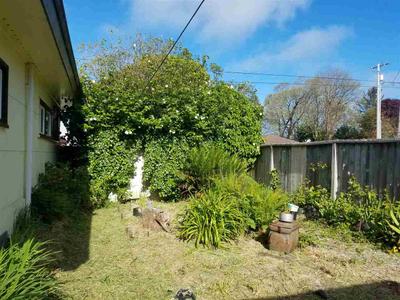 Photo 29