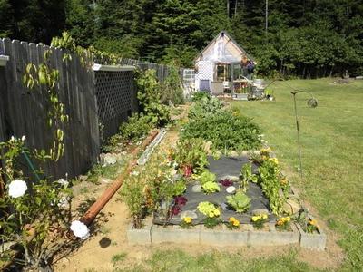 Photo 25
