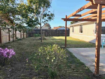 Photo 32
