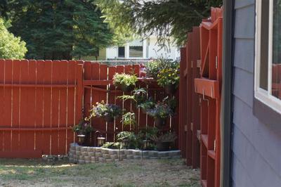 Photo 32