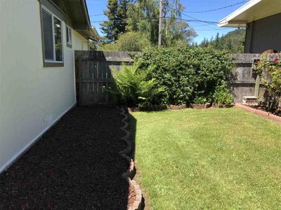Photo 31