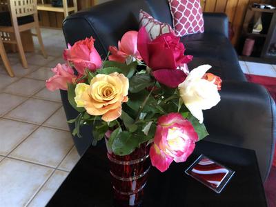 Photo 43