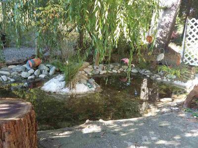 Photo 29