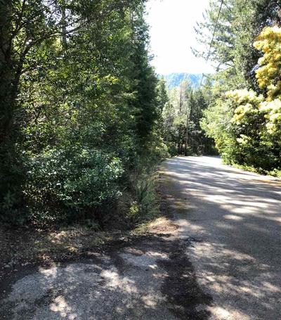 Photo 32