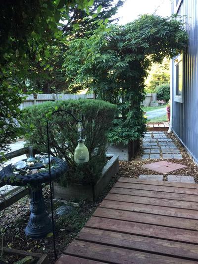 Photo 37