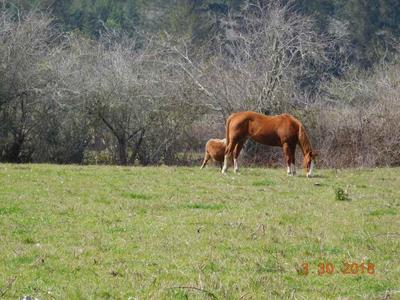 Photo 34