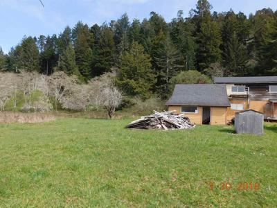 Photo 43