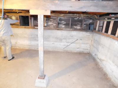 Photo 48