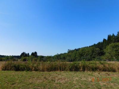 Photo 49