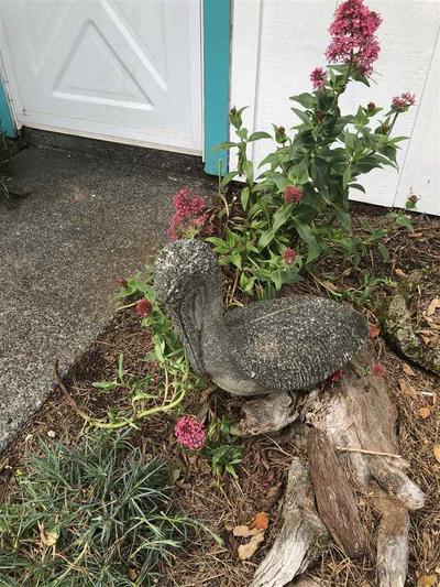 Photo 34