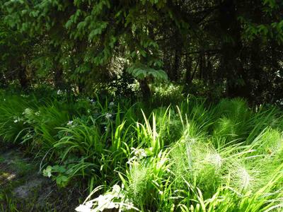 Photo 44