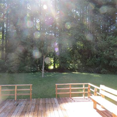 Photo 34