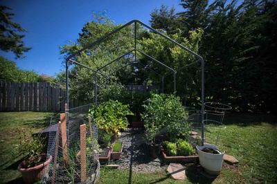 Photo 34