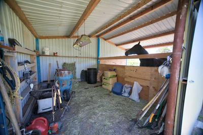 Photo 35