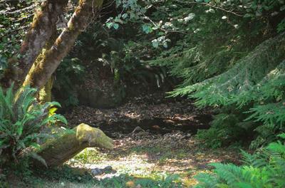 Photo 42