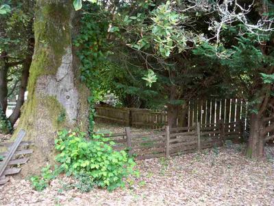 Photo 44