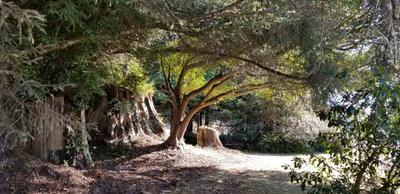 Photo 45