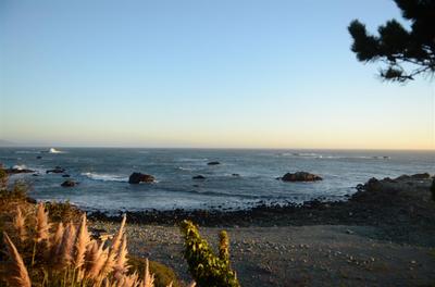 Photo 47