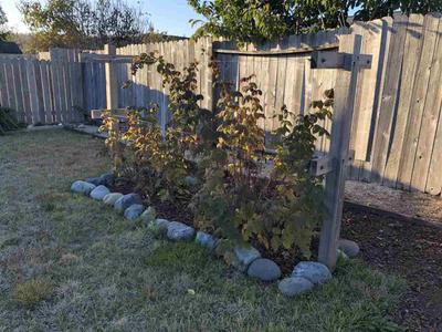 Photo 32