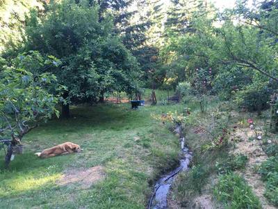 Photo 31
