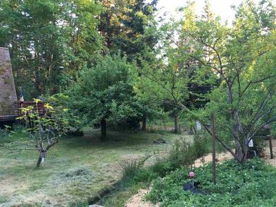 Photo 39
