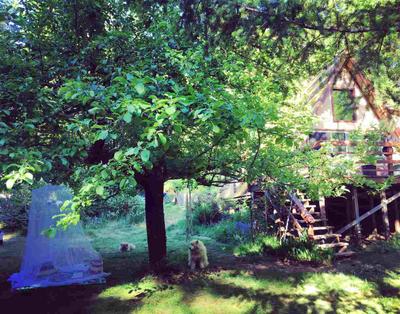 Photo 42