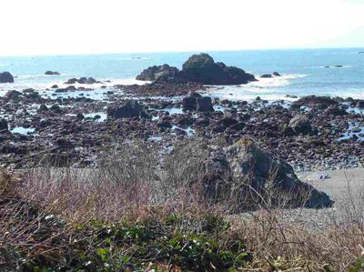 Photo 23