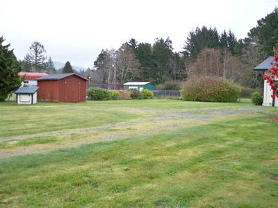 Photo 49