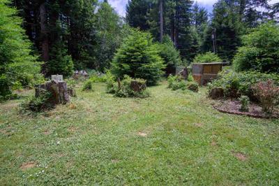 Photo 39
