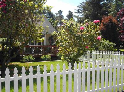 Photo 41