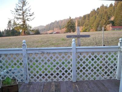 Photo 31