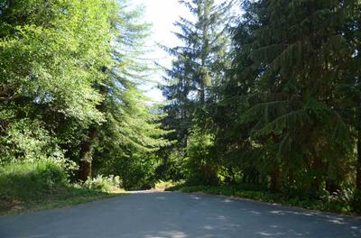 Photo 49