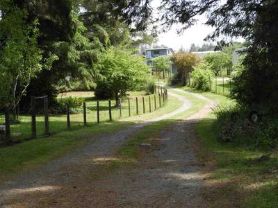 Photo 28