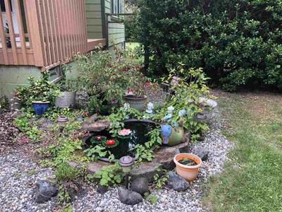 Photo 47