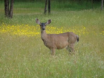 Photo 49