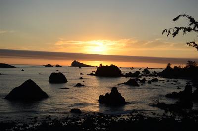 Photo 46