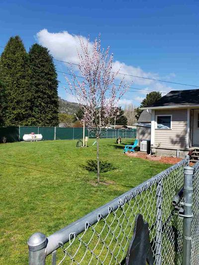 Photo 34
