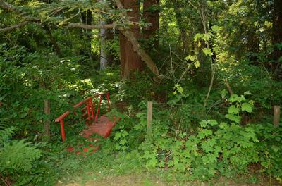Photo 46
